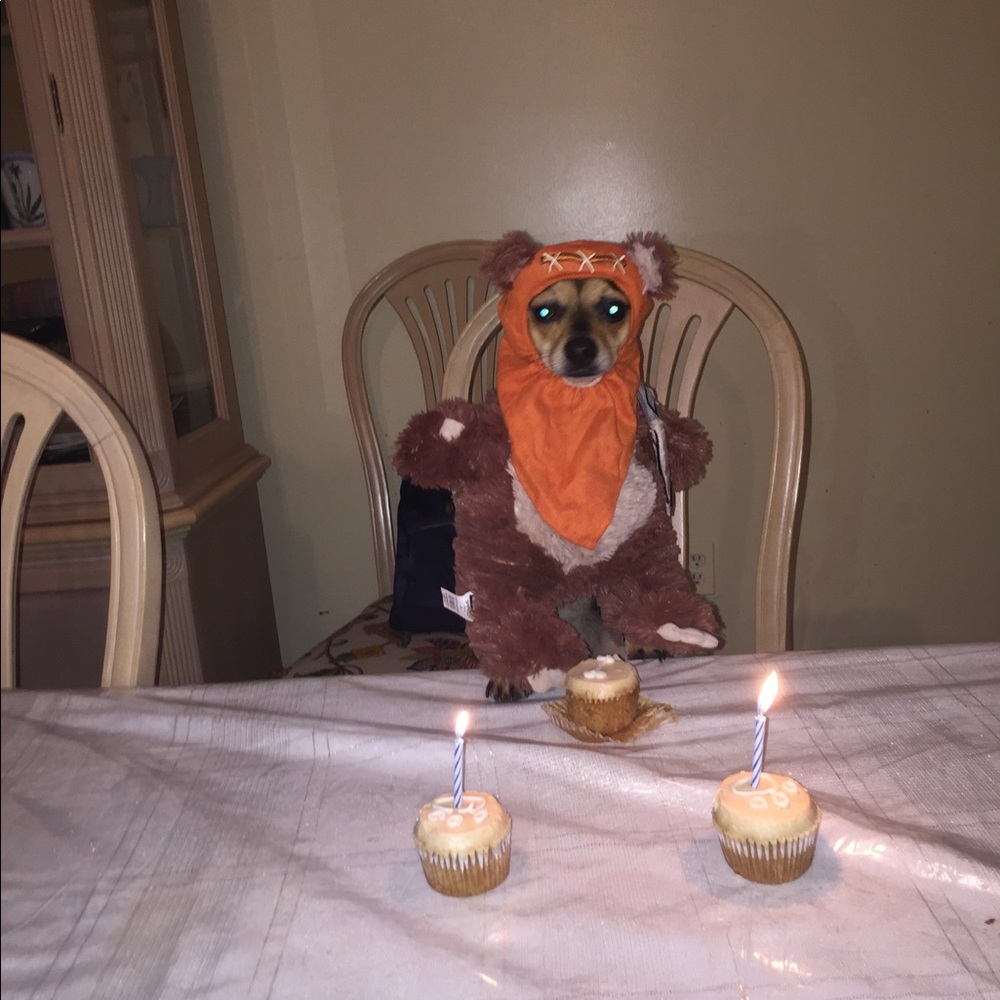 Meet your Posher, Maribel